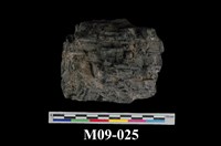 藏品(煙煤)的圖片